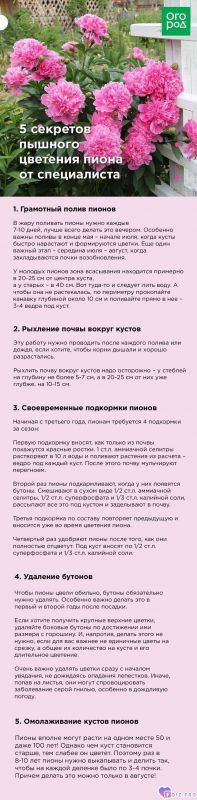 3aba973007b887d0510884f8fc81dfef