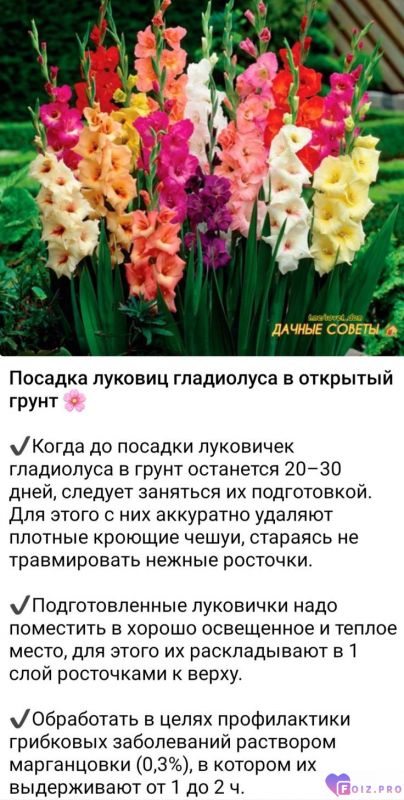 04859b9063905222307160e64406ac88