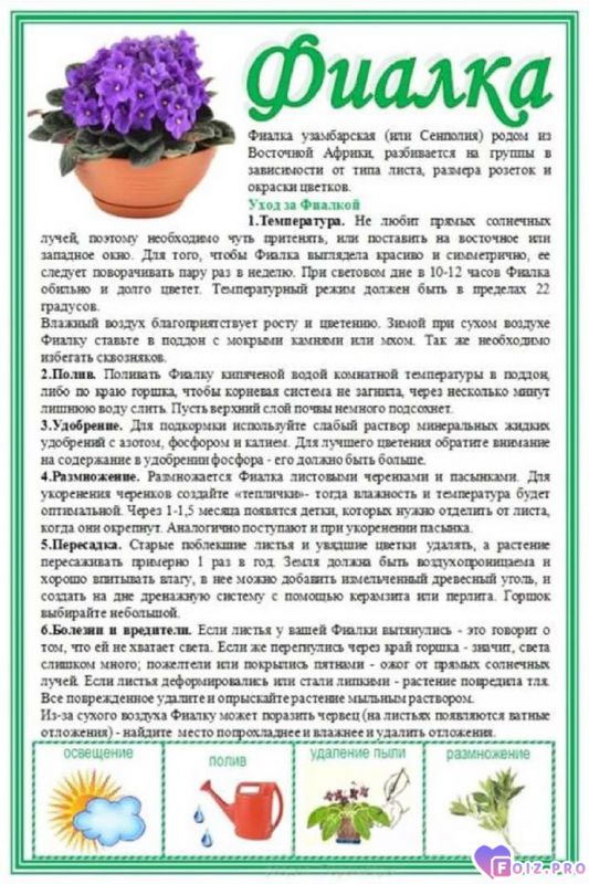 d3efbda5d9195ae1210d5937d23dc9a0