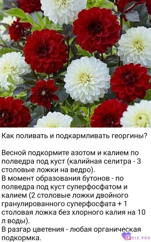 3971ed1377c2c5f1bfbc65c63c1bbf5c