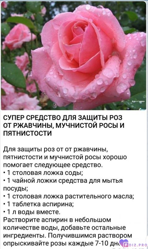 e8c859282a0fad8c345f6e506c91b198