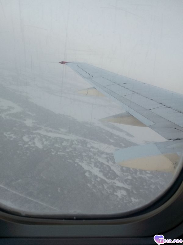 IMG_20260214_161334_654