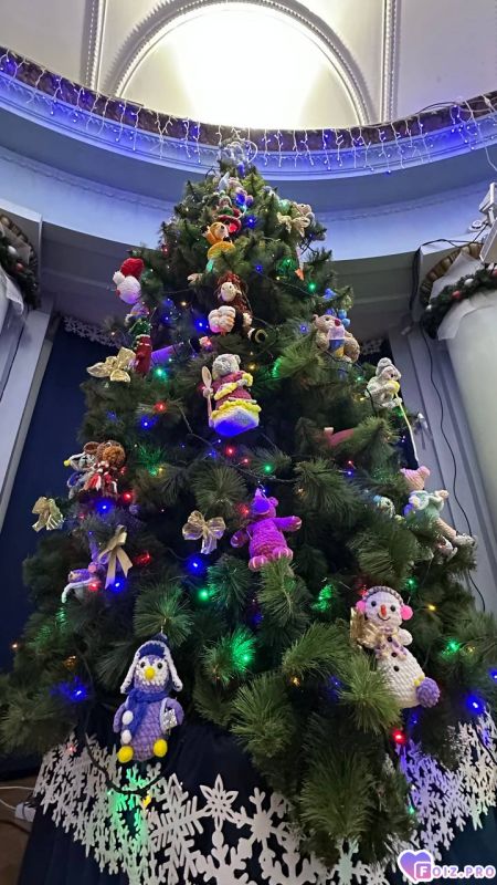 IMG_20251212_190147_014