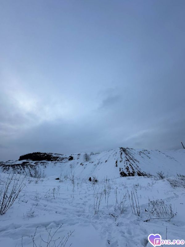 IMG_20260123_171443_893