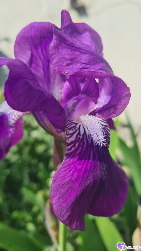 1000077908