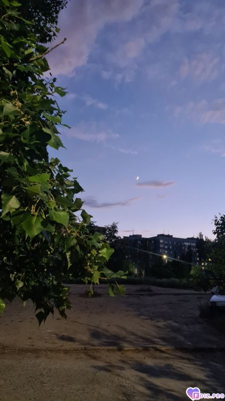 1000081744