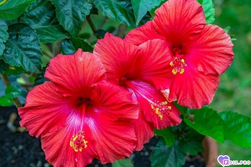 IMG_20230716_145639_805