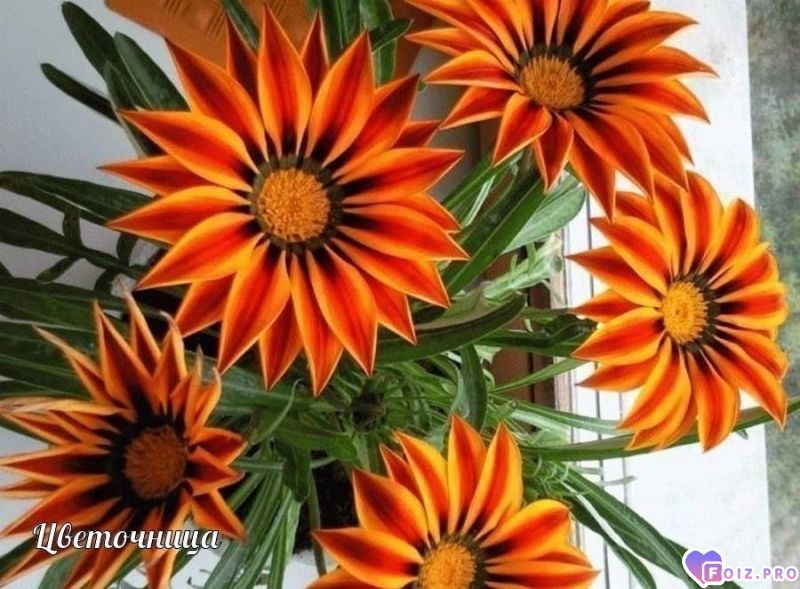 IMG_20230716_150012_419