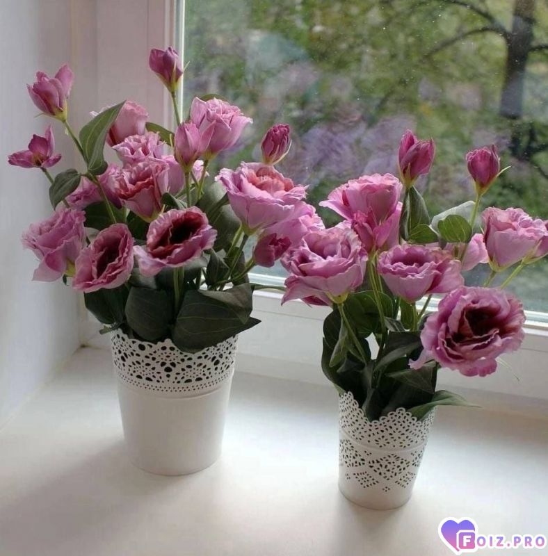 IMG_20230716_145808_990