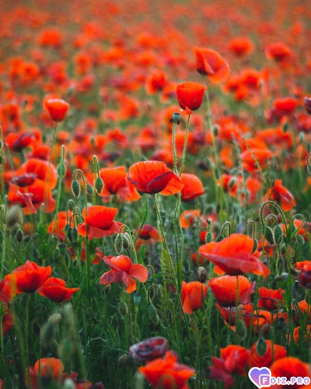 IMG_20230730_060945_948