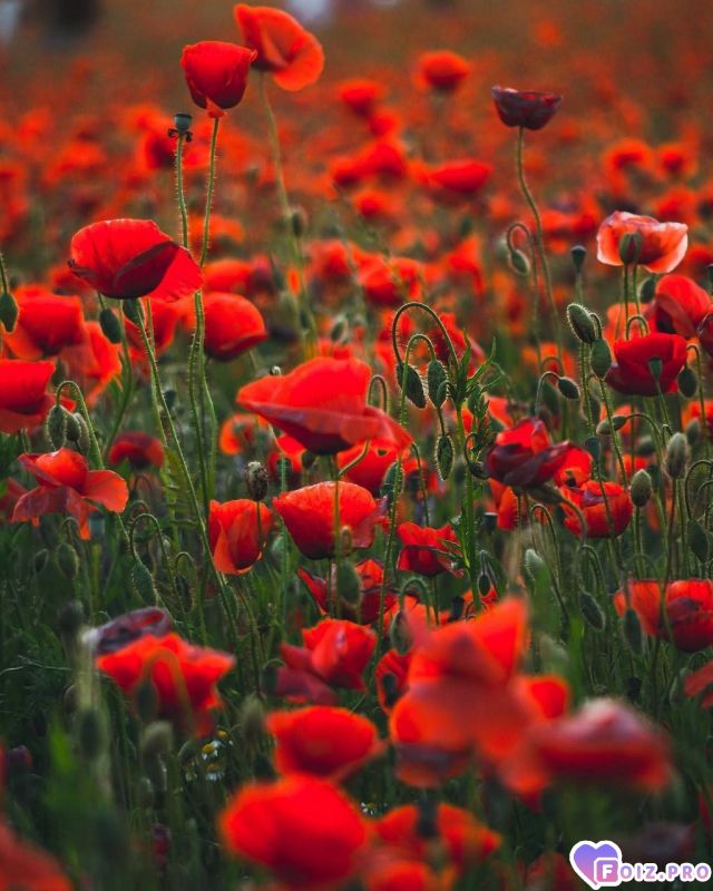 IMG_20230730_061001_733