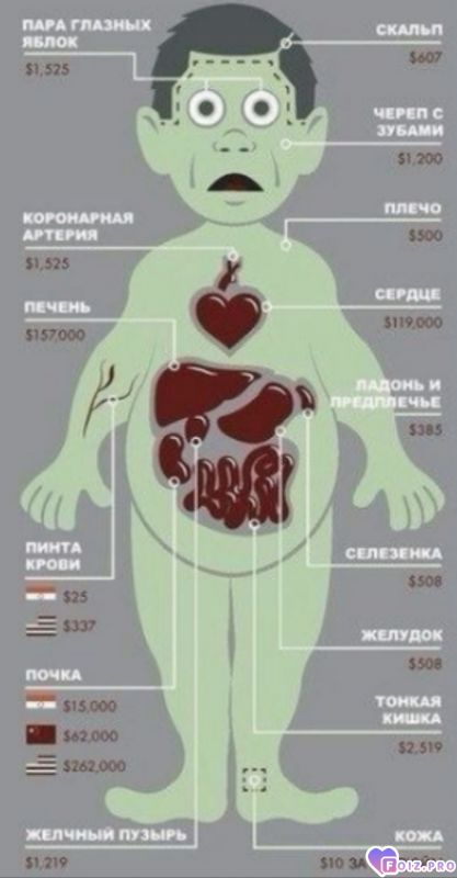 Кто думает что ничего не стоит)