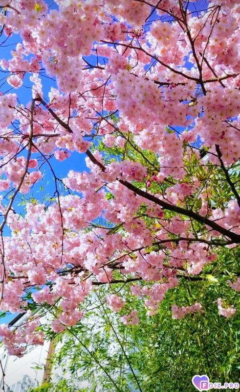 Screenshot_20240316_121156