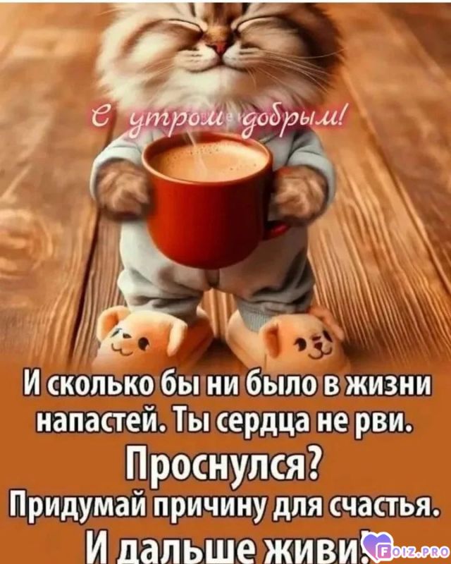 fe5e05d4fa6fa88c6fed06e171913484