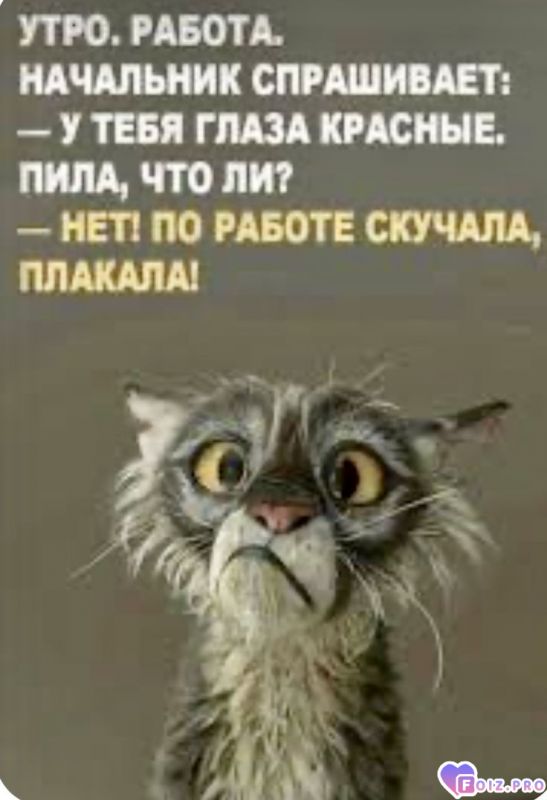 a5bb105a820d55817d399735a853ca8b