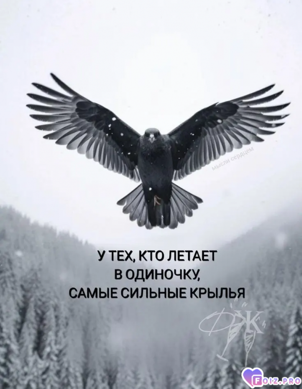 Одиночки
