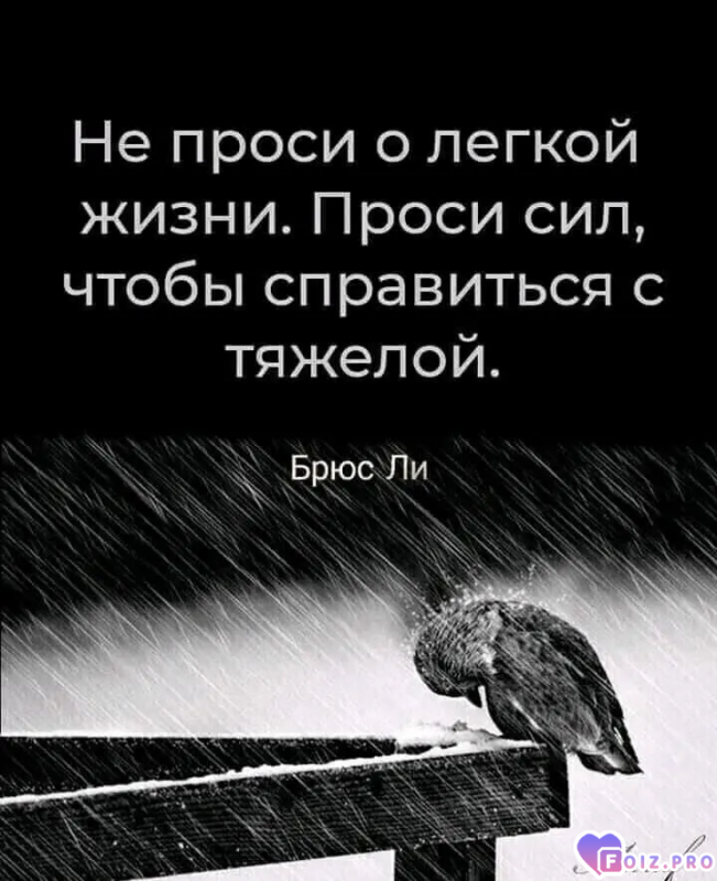 Без комментариев