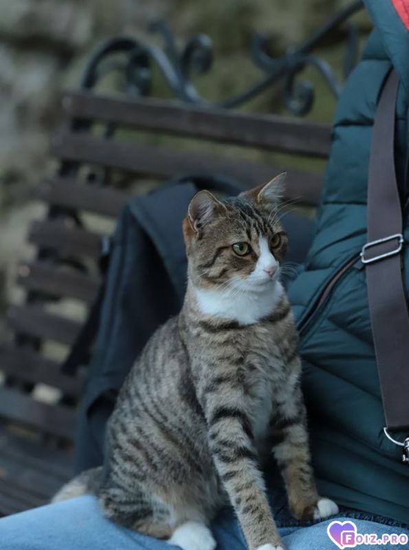 Свято-Климентовский монастырь.