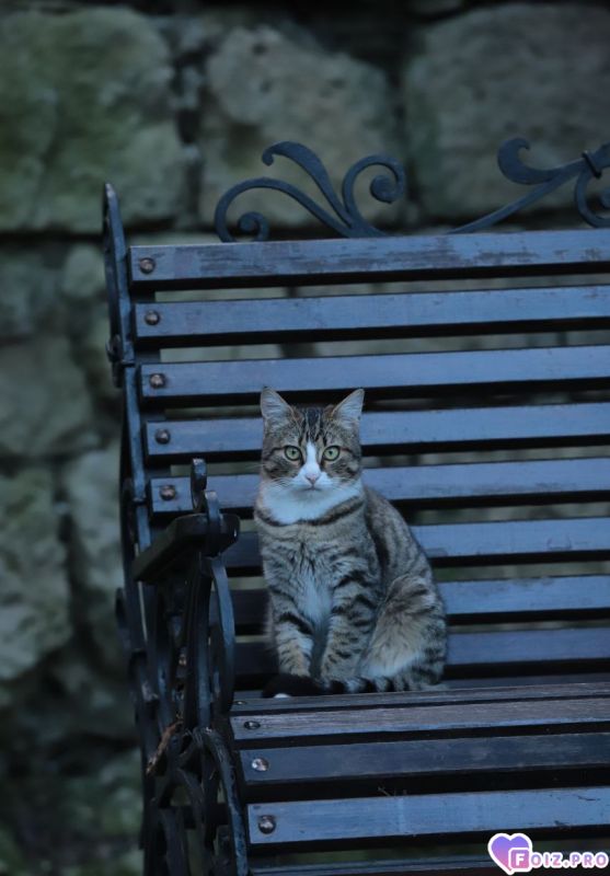 Свято-Климентовский монастырь.