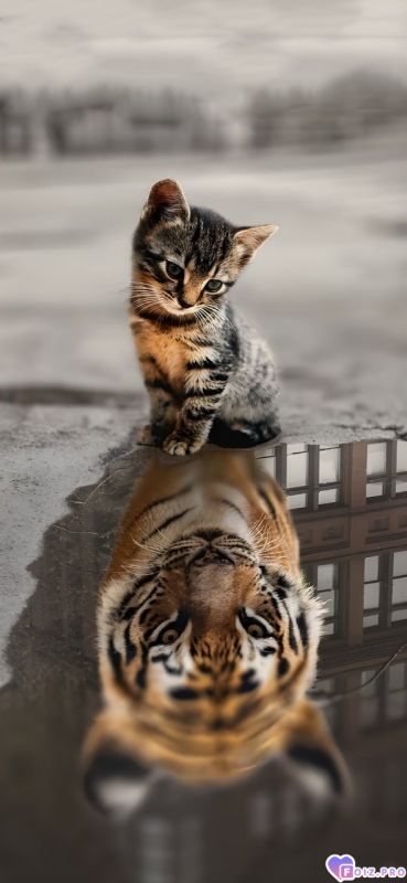 Когда же я буду таким