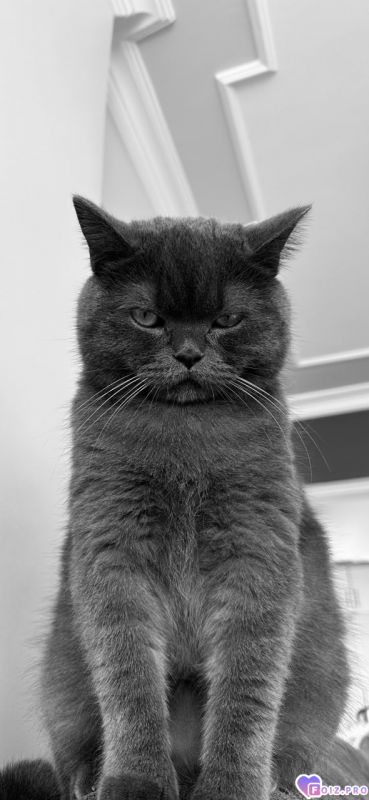 Я серьёзный