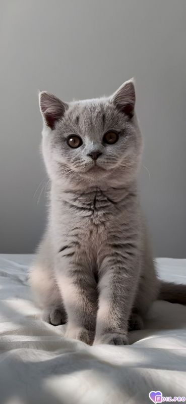 Будь мои хозяином