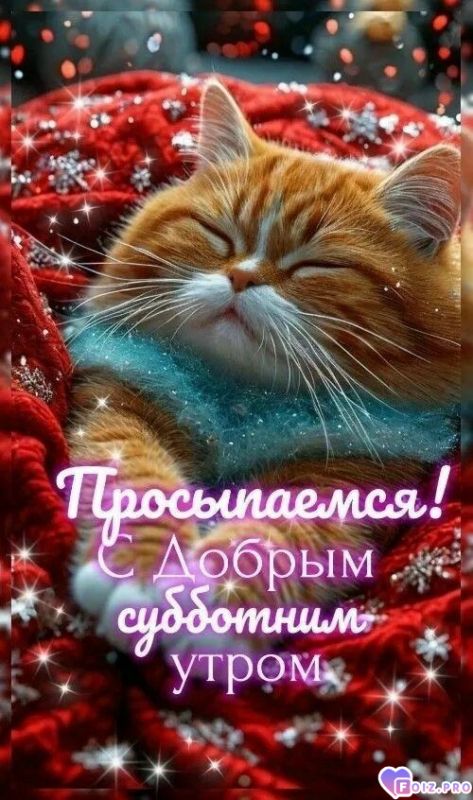 _Доброе утро_78_