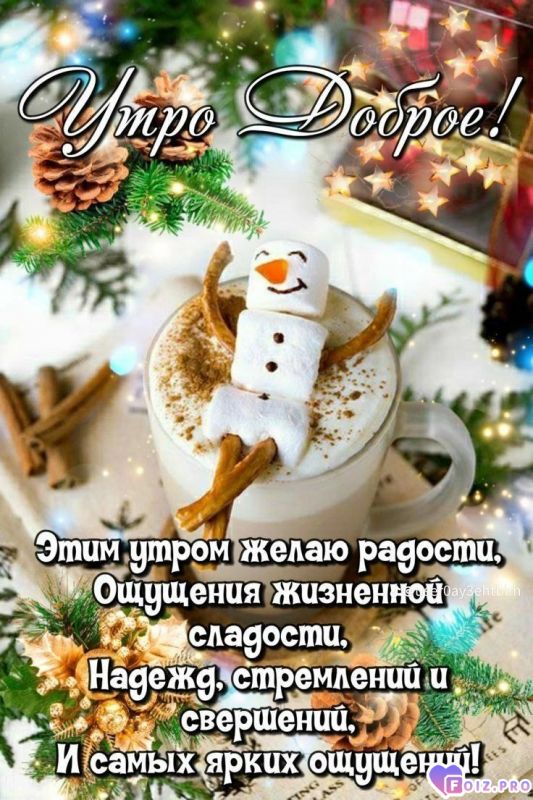 _Доброе утро_80_