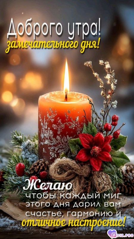 _Доброе утро_81_