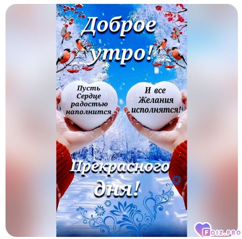 _Доброе утро_83_