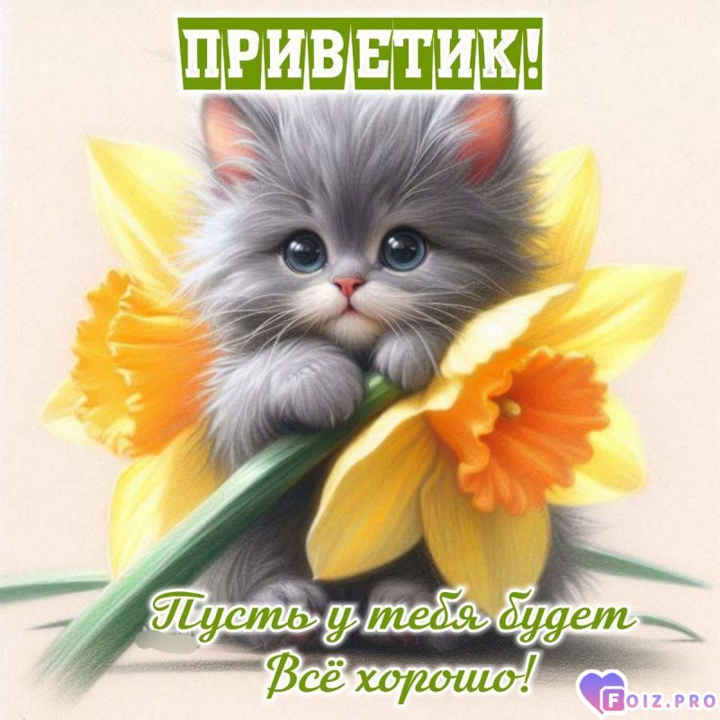 _приветик_ всё хорошо