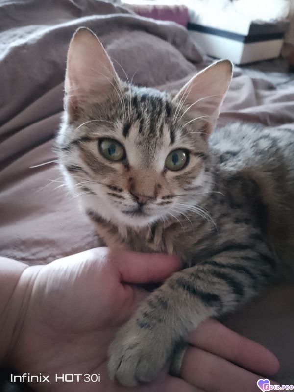 Феня (Фиона)