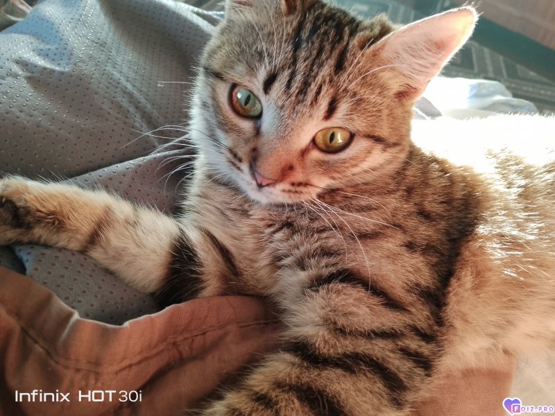 Феня (Фиона)