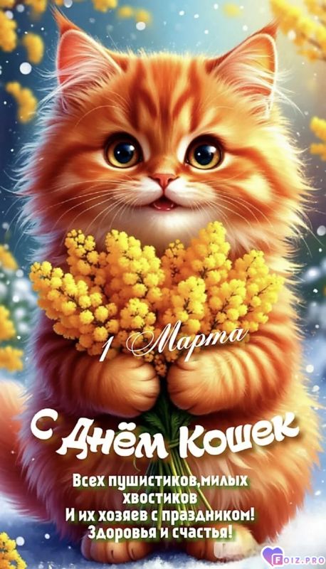С днём Кошек
