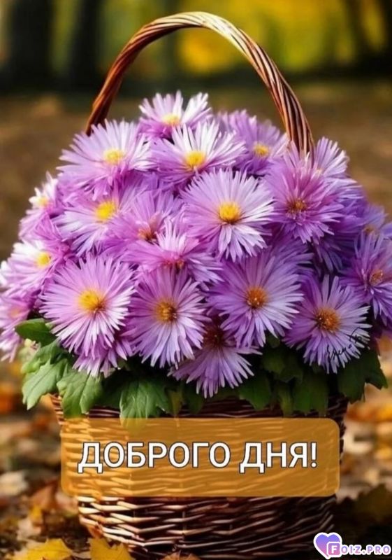 Доброго дня
