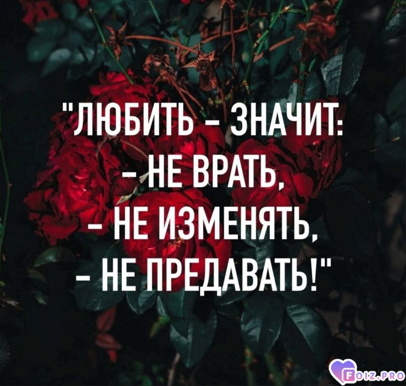 Любить это значит