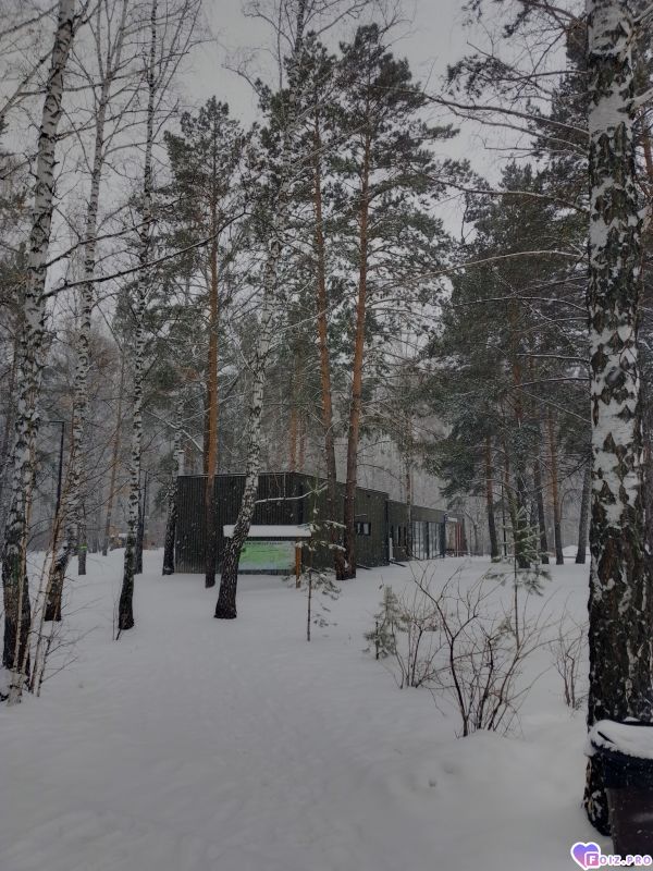 IMG_20260421_113542_859