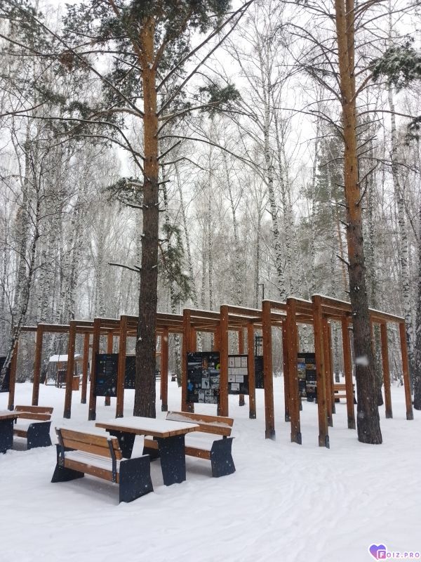 IMG_20260421_130928_573