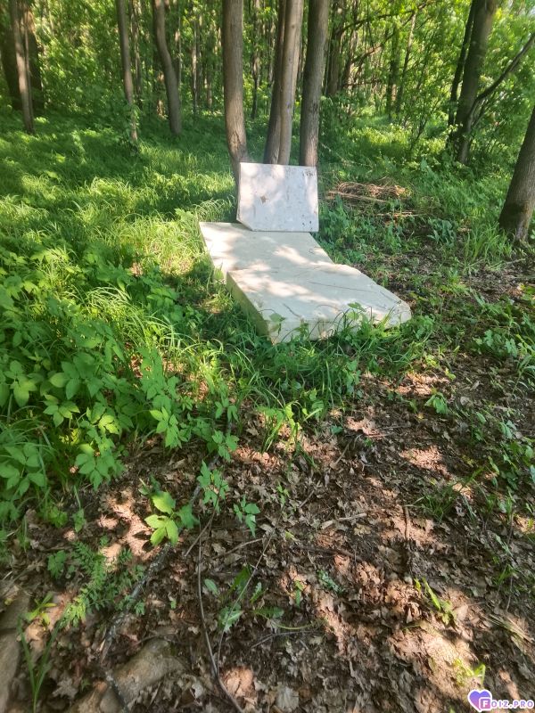 1000024723