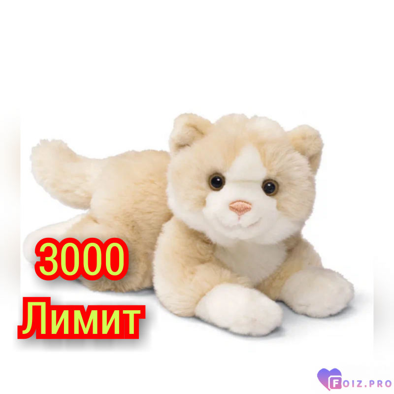 GridArt_20260117_142551397