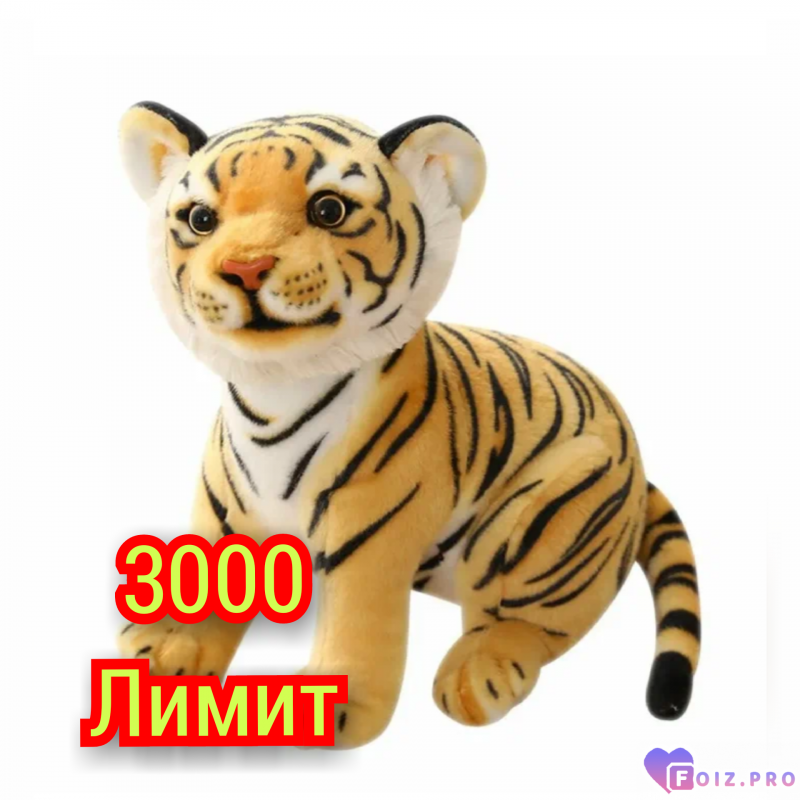 GridArt_20260117_142439609