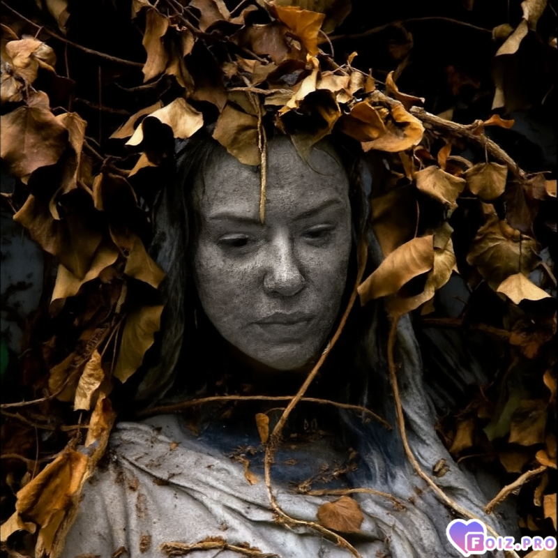 окаменение