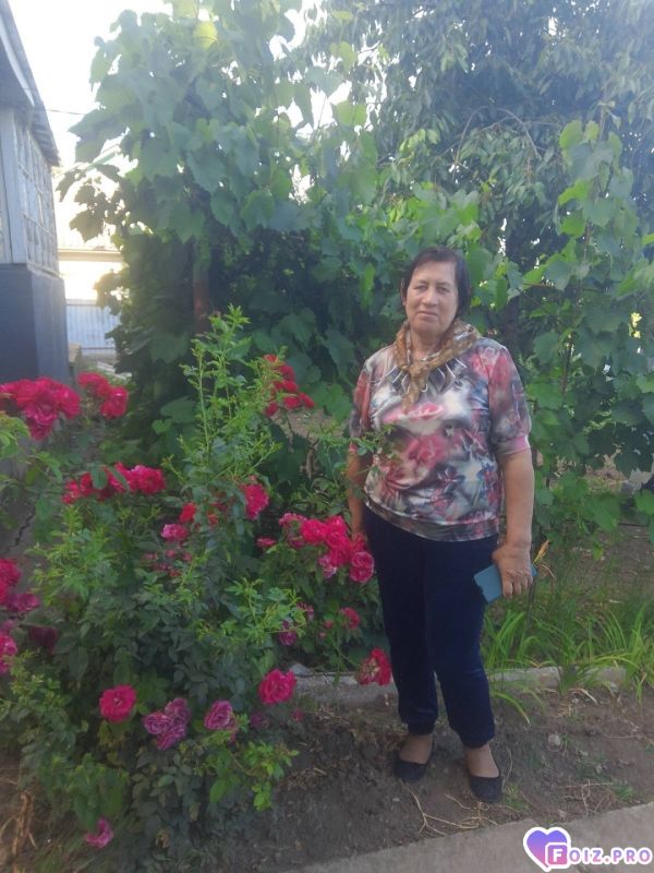 Peachy_20251224_083135684