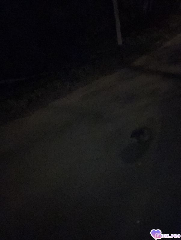Всссссмиичв по им