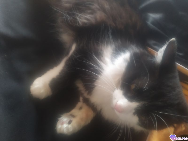 IMG_20260627_175817