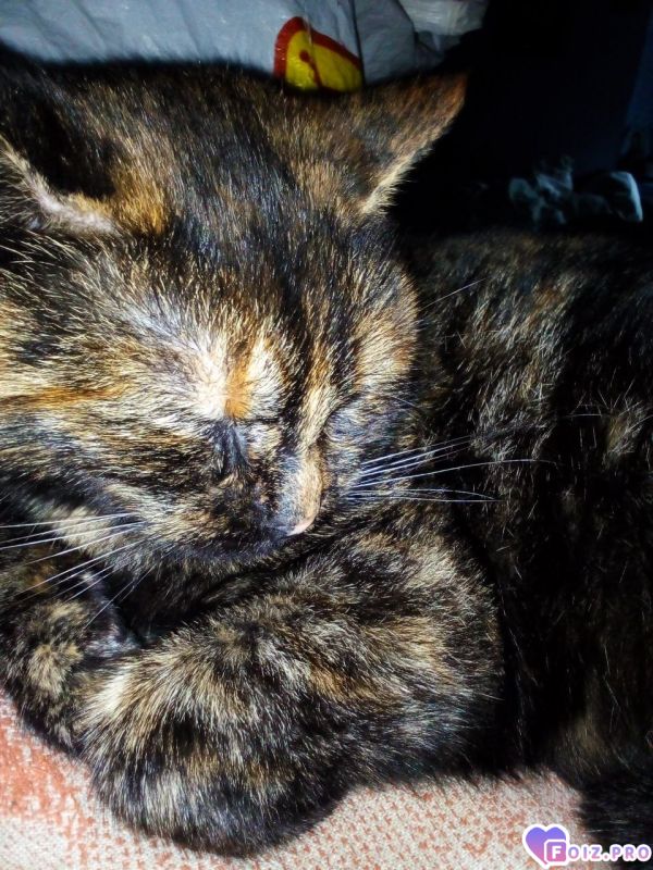 Наша красивая милашка)