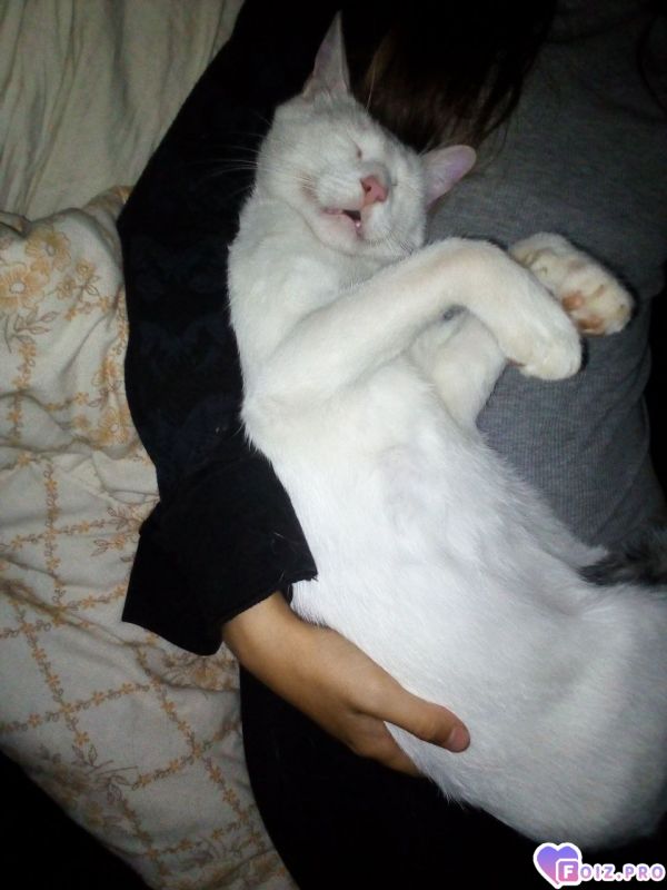 IMG_20250926_093601_984