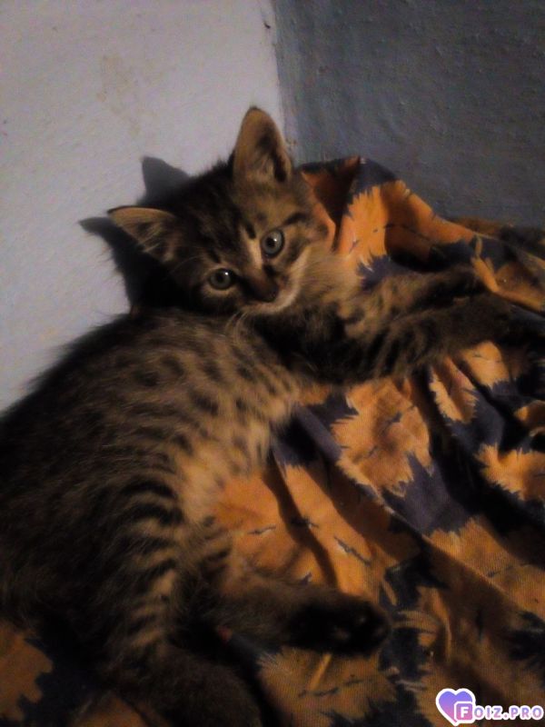 IMG_20251023_111932_744