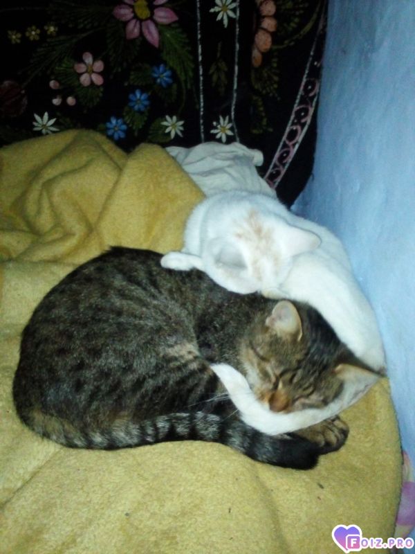 IMG_20251023_112000_499