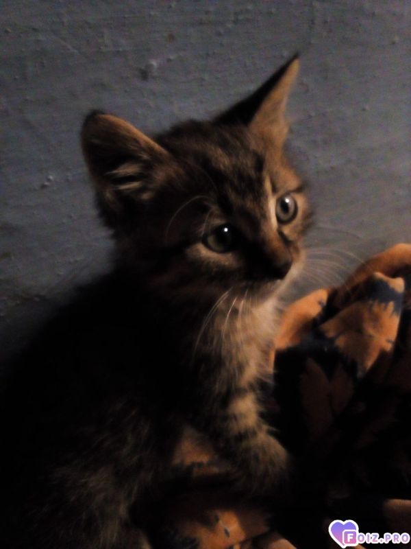 IMG_20251023_130242_031